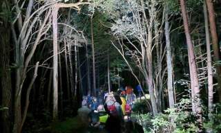 Flaggermusnatt på Botstangen // Tromøy
