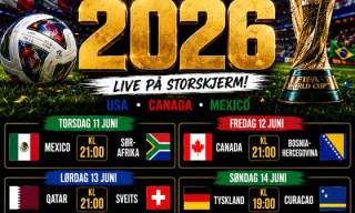 Fotball VM
