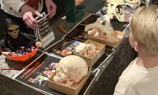 Barnas Halloween på Naturmuseum og Botanisk hage