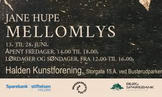 Mellomlys- Jane Hupe, Halden Kunstforening