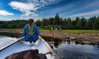 Camp Flakksvann
