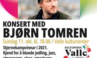Konsert med Bjørn Tomren - KULTURVEKA