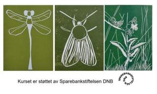 Grafikkurs for barn!
