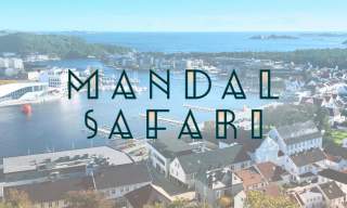 Byvandring & lekseprøve
