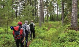 Pilegrimsleden, Ingedal - Skjeberg