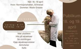 Nasjonal alpakka utstilling