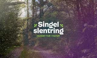 Singel slentring - Guidet tur i natur