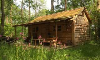 Forest Garden Shovelstrode