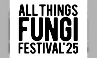 All Things Fungi Festival