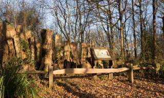 Warnham Local Nature Reserve