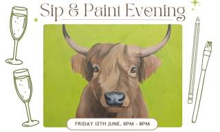 Highland Cow Sip & Paint evening