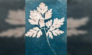 Cyanotype Printing Workshop