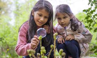 Winkworth's May Half-Term: Become a Nature Detective
