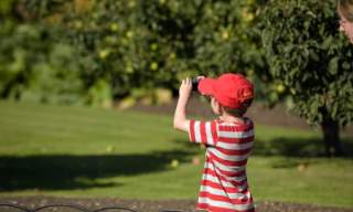 Nature Photography Workshops (ages 7-11 and 12-16) | Claremont Landscape Garden