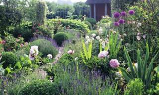 The National Garden Scheme: Sandhill Farm House Rogate: Open Garden