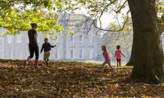 Hop into the Wild | Petworth House & Park