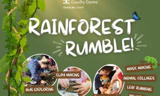Rainforest Rumble - Feb Half Term