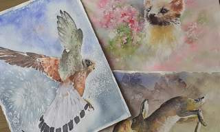 Artists Wildlife Painting Workshop