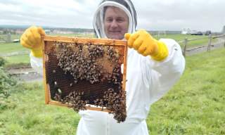 South Downs Honey