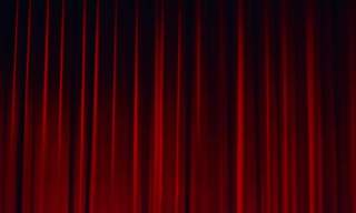 Shrek Jr - Superstars Performing Arts