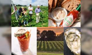 A Day in The Vines - Riddle and Finns & Court Garden Vineyard