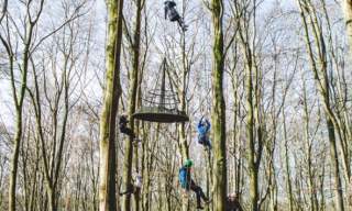Tree Climbing