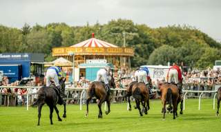 Fontwell Family Festival