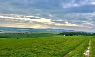 Cycle Route: Kingley Vale, the Trundle & the South Downs Way (26 miles, Southern eBike Rentals)