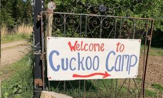 Cuckoo camping