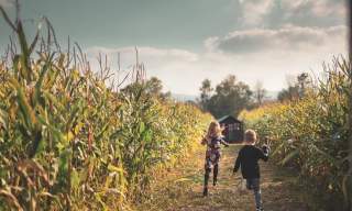 Rogate Pumpkin Patch