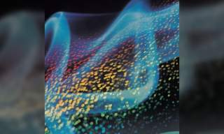 Kaleidoscope of Rainbows @ 50