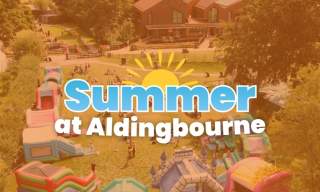 Summer at Aldingbourne Country Centre