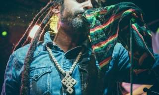 The Marley Experience