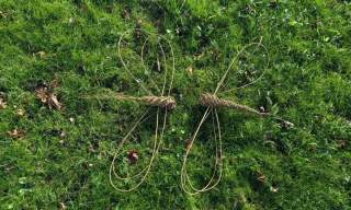 Willow Dragonfly Evening Workshop