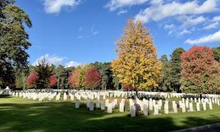 CWGC War Graves Week 2024 - Brookwood