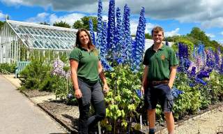 West Dean Garden Tour & Cream Tea