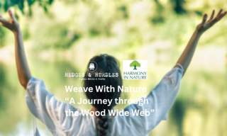 Weave With Nature "A Journey Through The Wood Wide Web" | Hedges and Hurdles