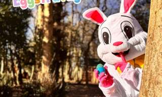 Easter Eggstravaganza