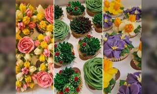 Cupcake Decorating Workshops