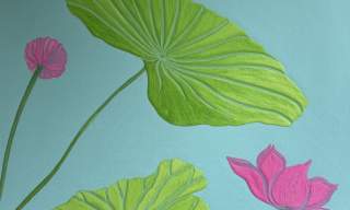 Christina Taylor-Smith: Zen Garden