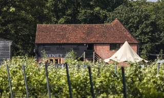 Oxney Organic Estate