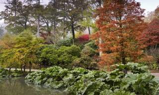 Leonardslee Lakes and Gardens
