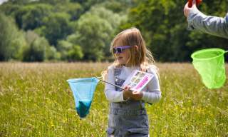 Meadow Wonders | Runnymede and Ankerwycke - National Trust