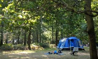 Fox Wood Camping