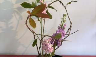 Ikebana Flower Workshop | The Horton Arts Centre