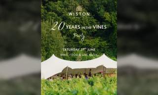 Summer Celebration in the Vines