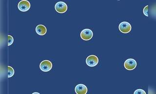 Fruitful Exhibition: Ripe Blueberries