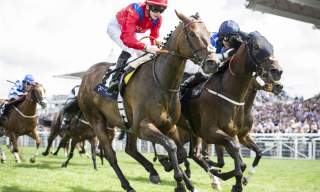 Race Meeting