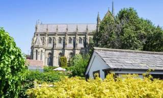 Cathedral View