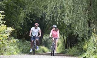 Sparkling Sussex e-bike tour